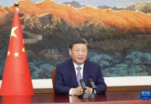 China is a steadfast actor in promoting global green development