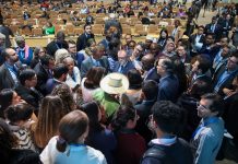 International community must jointly safeguard right course of science-based origins tracing